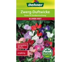 Dehner Samen Zwerg-Duftwicke 'Knee-Hi Sondermischung'
