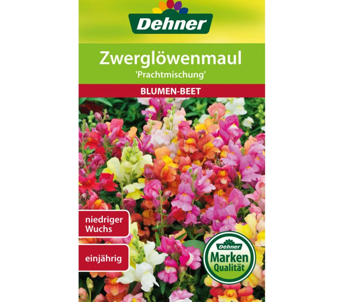 Dehner Samen Zwerglöwenmaul 'Prachtmischung'