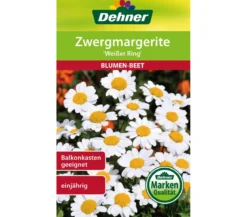 Dehner Samen Zwergmargerite 'Weißer Ring'