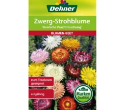 Dehner Samen Zwerg-Strohblume 'Herrliche Prachtmischung'
