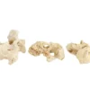 Dehner Sansibar Rock, 7-10 cm, 3er-Set