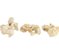 Dehner Sansibar Rock, 7-10 cm, 3er-Set