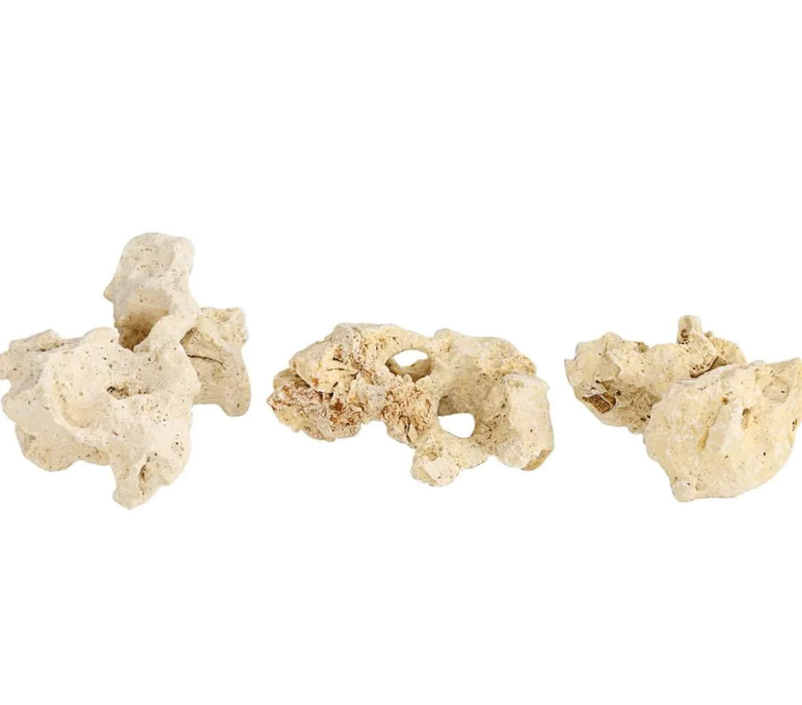 Dehner Sansibar Rock, 7-10 cm, 3er-Set