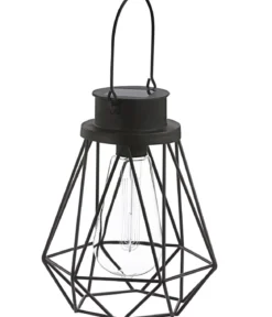 Dehner Solar-Drahtglühbirne Blackora, ca. Ø16/H20 cm