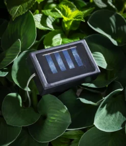 Dehner Solar-Lichterkette Lampion