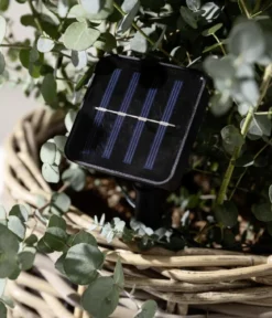 Dehner Solar-Lichterkette Lucena