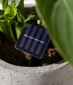 Dehner Solar-Lichterkette Ronda
