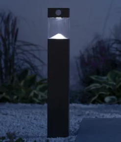 Dehner Solar-Wegleuchte Goran, ca. B8/H50/T8 cm