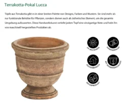 Dehner Terrakotta-Pokal Lucca, rund, mterra, ca. Ø16/H15 cm
