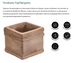 Dehner Terrakotta-Topf Bergamo, quadratisch