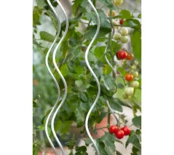 Dehner Tomaten-Spiralstab, verzinkt, ca. H170 cm