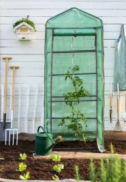 Dehner Tomaten-Spiralstab, verzinkt, ca. H170 cm