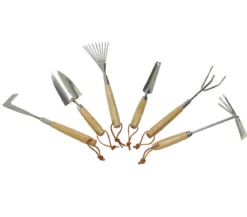 Dehner Unkrautstecher mit Holzgriff