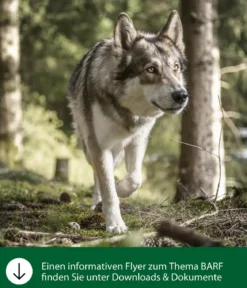 Dehner Wild Nature BARF-Ergänzungsfutter für Hunde Flocken-Mix Früchte