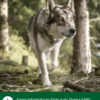 Dehner Wild Nature BARF-Ergänzungsfutter für Hunde Barf Sensitiv