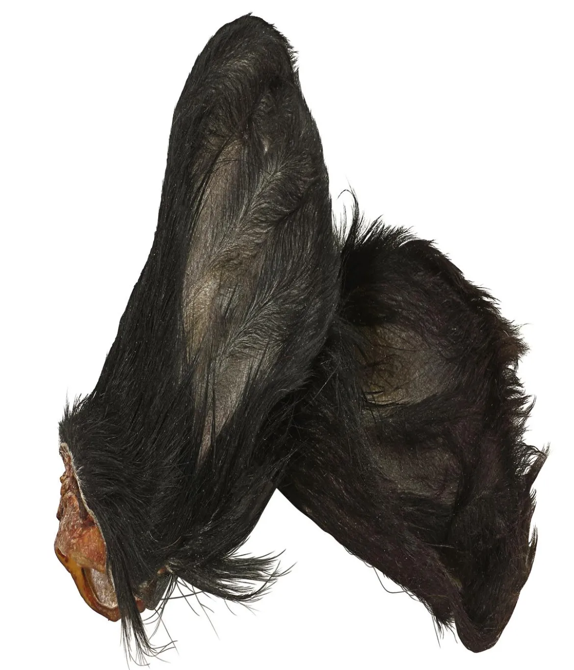 Dehner Wild Nature Hundesnack Kalbsohren mit Fell