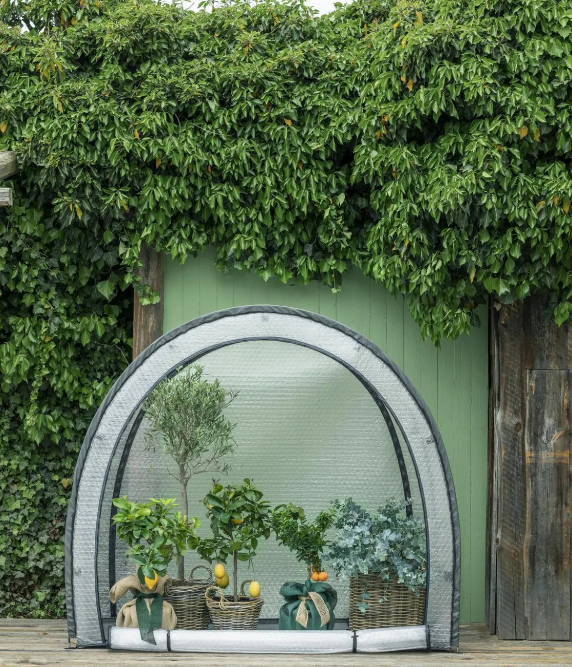 Dehner Winterschutzzelt Midgard, transparent, ca. B180/H172/T80 cm