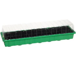 Dehner Zimmergewächshaus Frans, 54 x 15 x 12 cm
