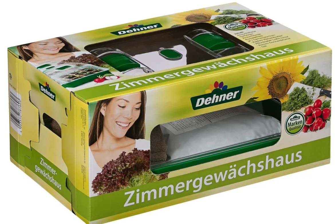 Dehner Zimmergewächshaus Komplett-Set, ca. B38/H18/T24 cm