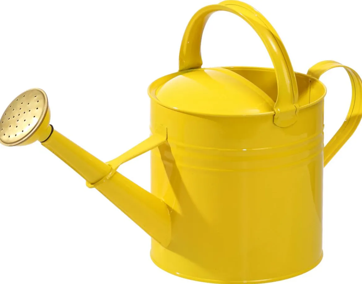 Dehner Zink-Gießkanne, 5 l