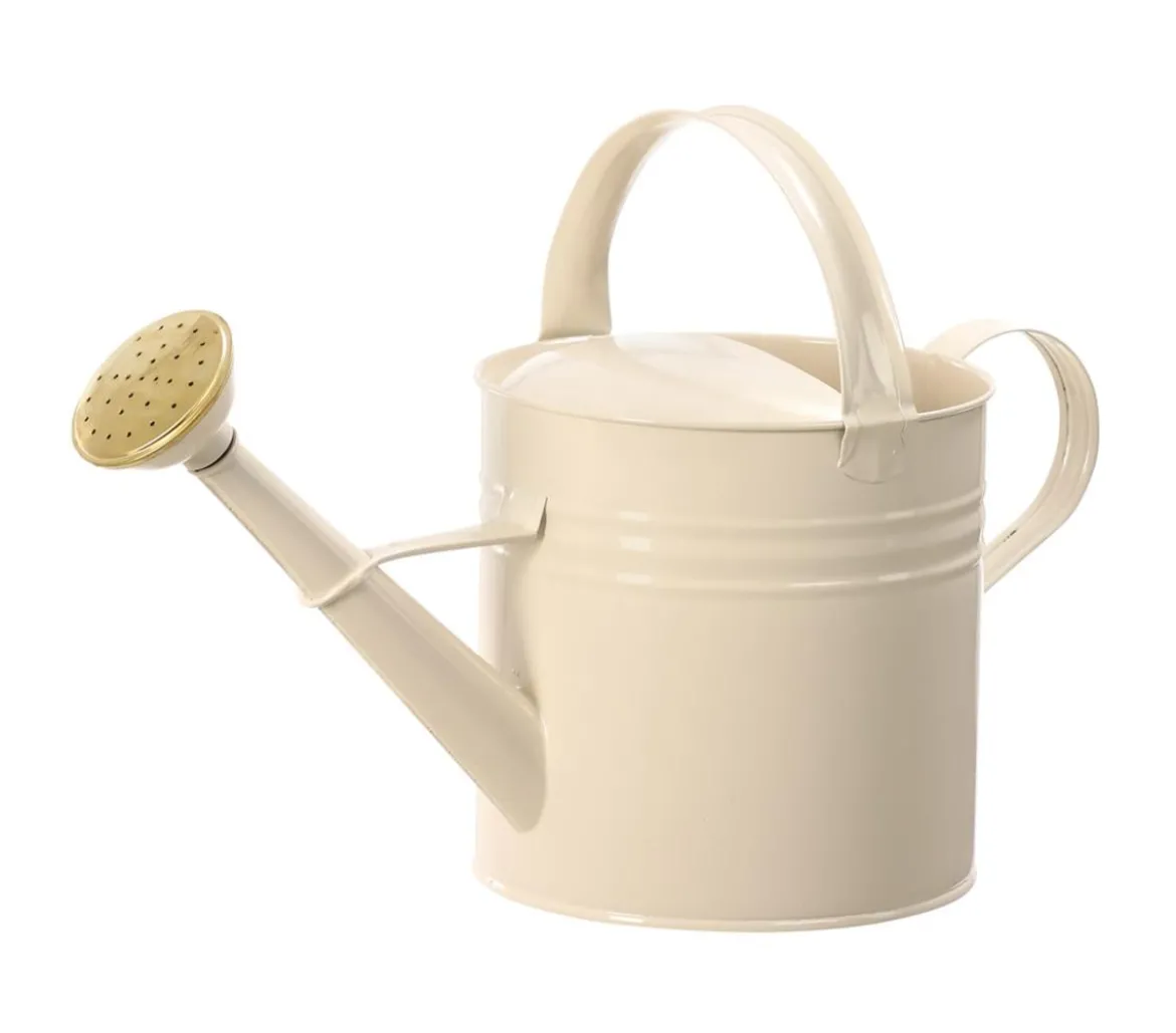 Dehner Zink-Gießkanne, 5 l