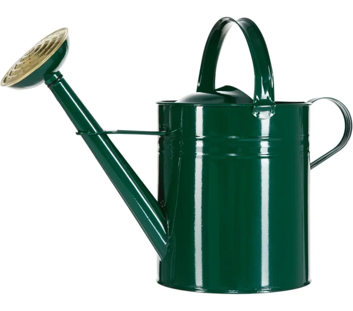 Dehner Zink-Gießkanne, 9 l, grün