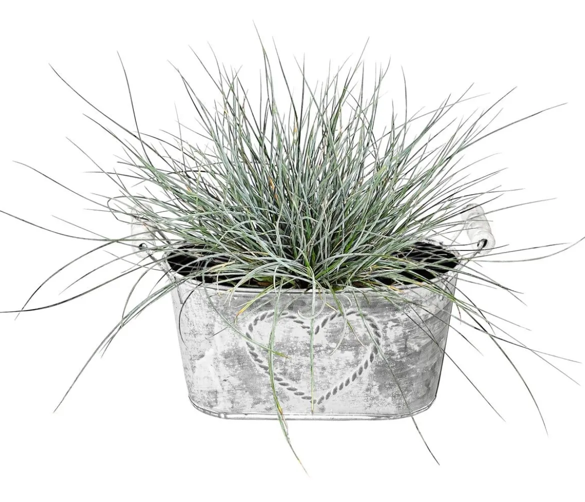 Dehner Zink-Jardiniere mit Henkeln, ca. B26/H15/T11,5 cm