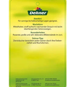 Deutzie 'Tourbillon Rouge'