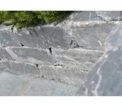 Diephaus Mauerstein ANTIK