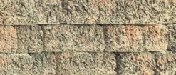 Diephaus Mauerstein RISO
