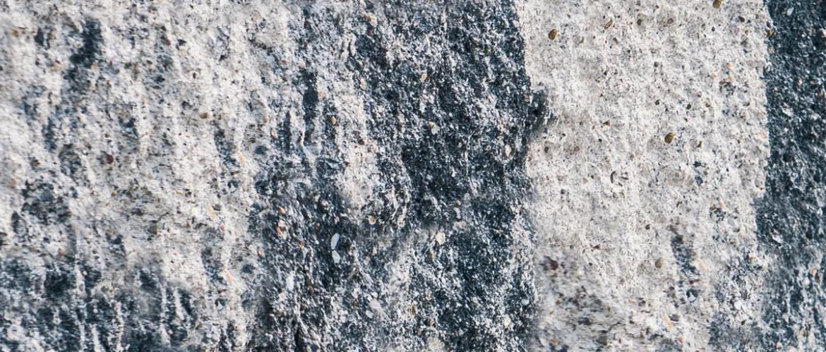 Diephaus Mauerstein SIOLA®-MEDIO