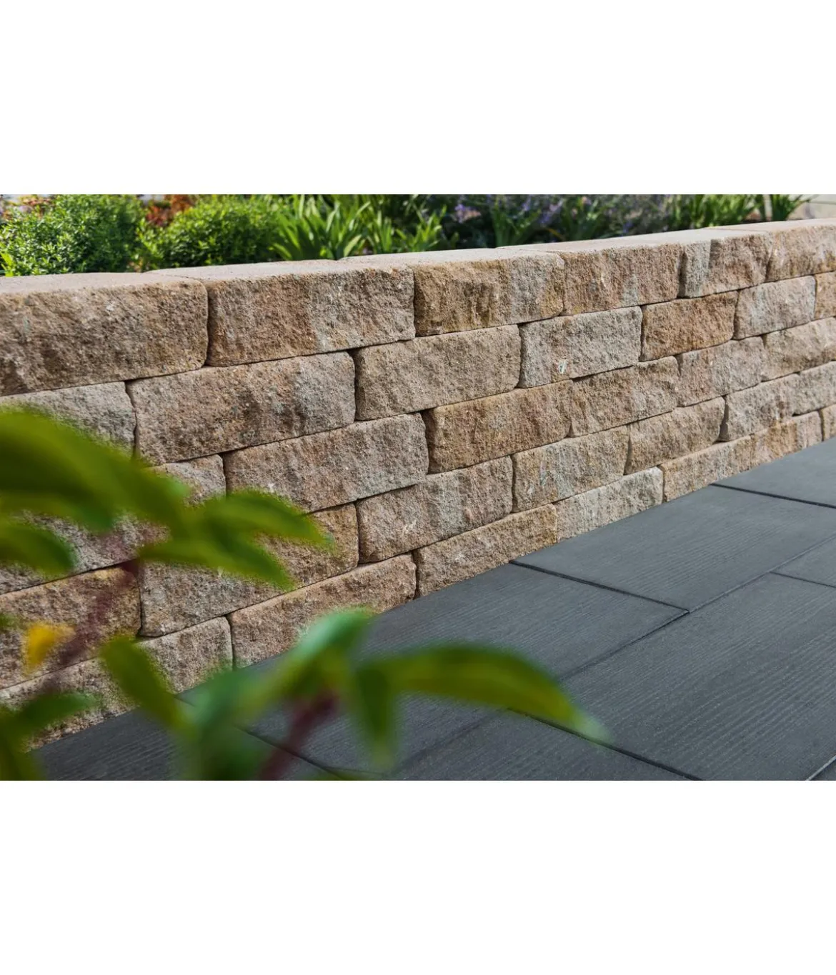 Diephaus Mauerstein SIOLA®-MEDIO