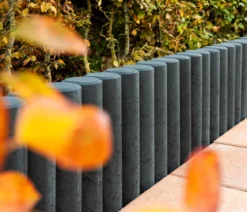 Diephaus Mini-Palisade