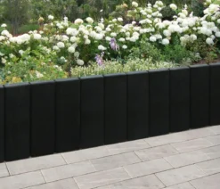 Diephaus Palisade Medio