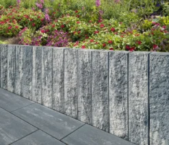 Diephaus Palisade Siola