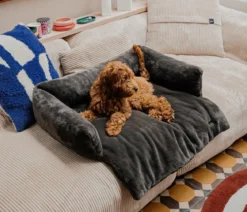 District 70 Hundesofa Nuzzle