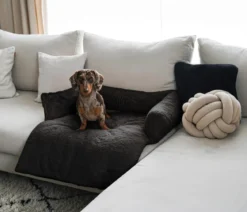 District 70 Hundesofa Nuzzle