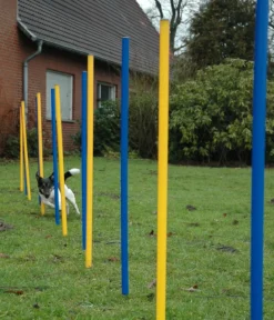 dobar® petlife Agility Slalom-Set, 12-teilig