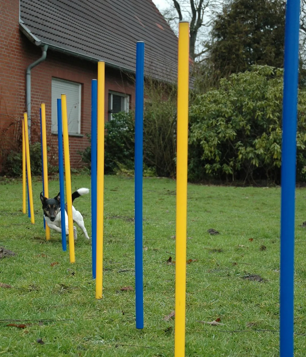 dobar® petlife Agility Slalom-Set, 12-teilig