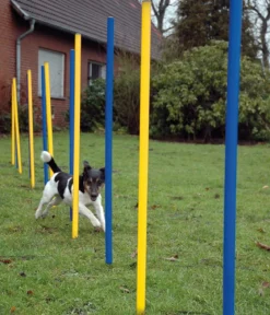 dobar® petlife Agility Slalom-Set, 12-teilig
