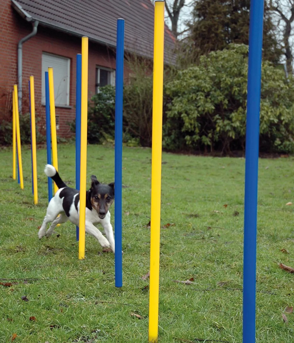 dobar® petlife Agility Slalom-Set, 12-teilig