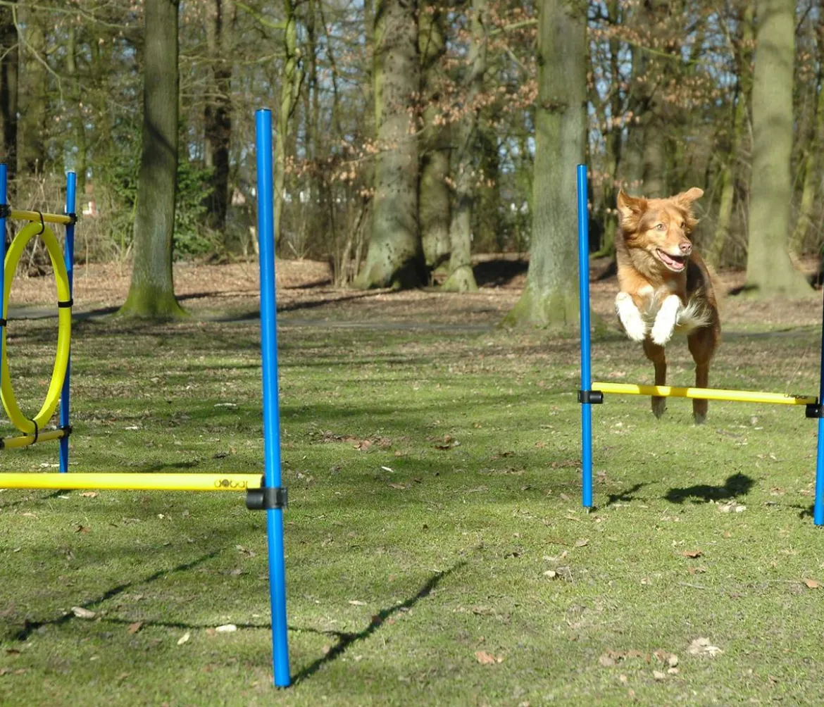dobar® petlife Agility Sprung-Set, 3-teilig