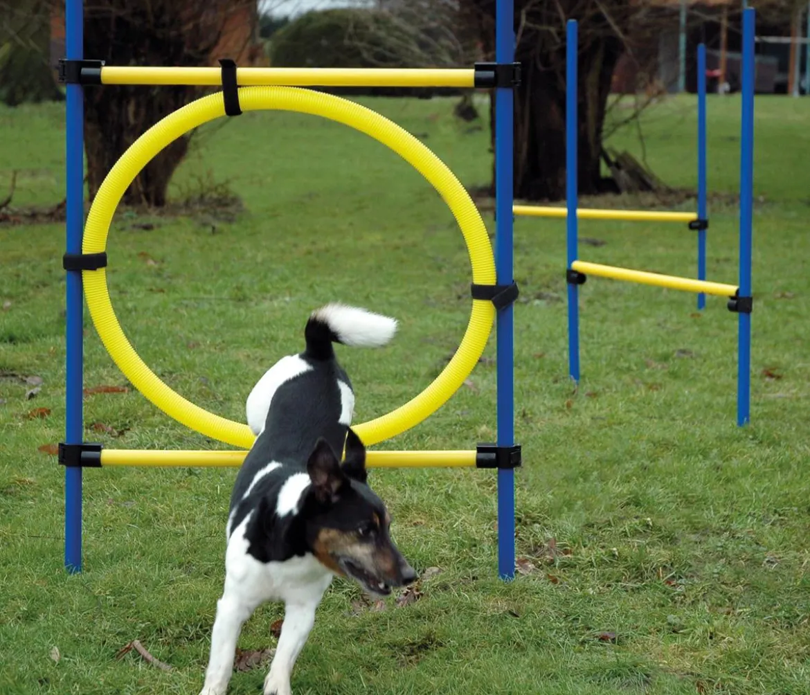 dobar® petlife Agility Sprung-Set, 3-teilig