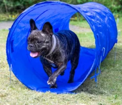 dobar® petlife Agility Tunnel, ca. Ø50/L300 cm