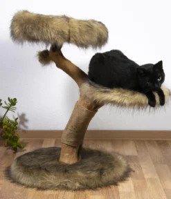 dobar® petlife Design-Kratzbaum Jimmy, braun, ca. B50/H78/T50 cm