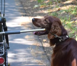 dobar® petlife Fahrradleine Walky Dog Plus
