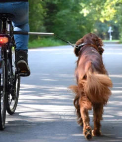 dobar® petlife Fahrradleine Walky Dog Plus