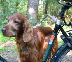 dobar® petlife Fahrradleine Walky Dog Plus
