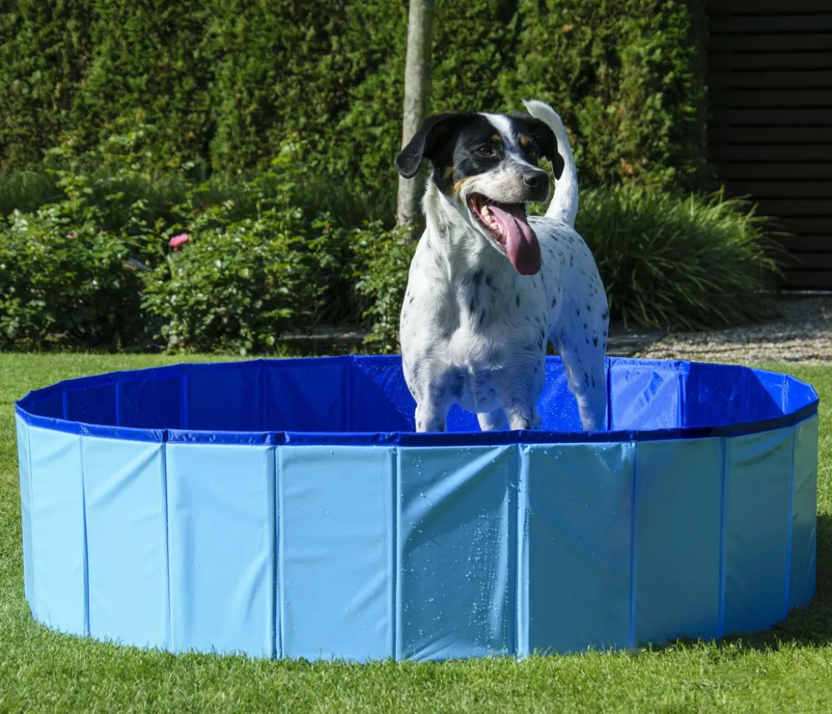 dobar® petlife Hundepool, blau, ca. Ø120/H30 cm