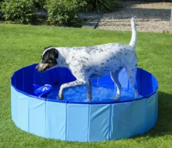 dobar® petlife Hundepool, blau, ca. Ø120/H30 cm
